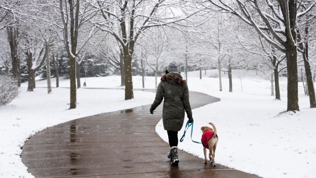 ‘Cuaca whiplash’ di depan saat Kanada memasuki musim dingin, Weather Network mengatakan