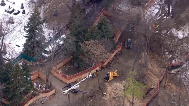 Human remains of 500 people moved as Toronto cemetery spends $2.5 million to shore up slope