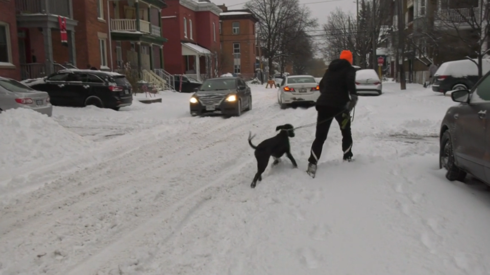 Winter snowy street Ottawa