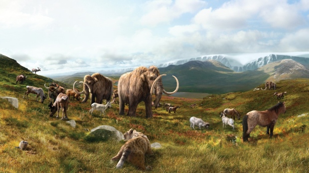 Mammoths, Yukon horses alive 1000s of years longer: study - CTV News