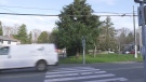 Cedar Hill Cross Road in Saanich is pictured. (CTV News)
