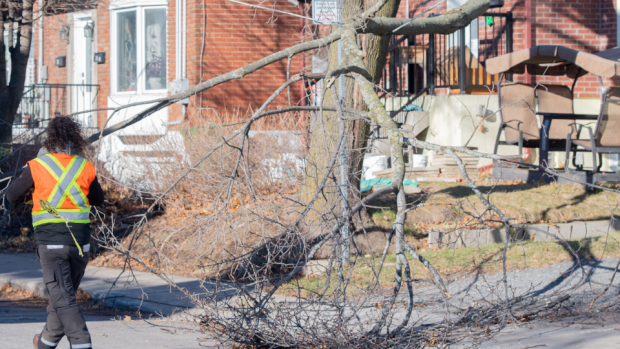 Badai Angin: Ontario dan Quebec melaporkan kerusakan