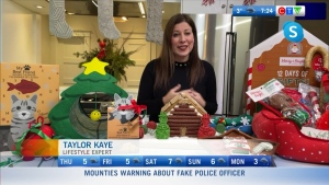 DIY and lifestyle expert, Taylor Kaye joins CTV Morning Live to showcase some festive holiday gift ideas for your furry friends.
