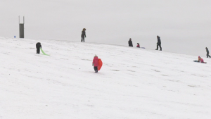 Families visit the toboggan hill at Mooney's Bay Park. Dec. 27, 2021. (Shaun Vardon/CTV News Ottawa)