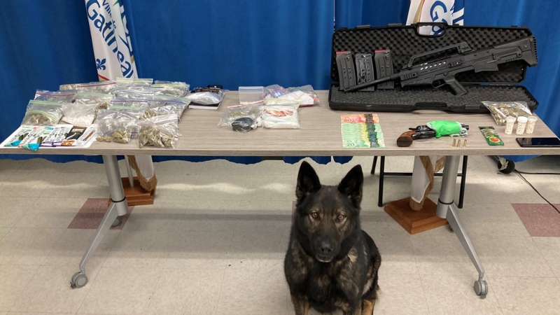 Hannu, the Gatineau police dog, stands in front of the weapons and drugs police seized from a vehicle in Gatineau on Wednesday. (Photo courtesy: Gatineau Police Service)