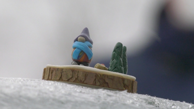 More than 400 miniature gnomes have popped up across Ottawa. (Peter Szperling/CTV News Ottawa)