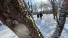 Skaters enjoy a sunny Friday skate through the RiverOak Skating Trail.  (Peter Szperling/CTV News Ottawa)