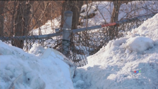 The 74-year-old who died of cold this week lived for years in solitary camp in NDG woods