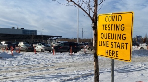 A lineup of cars is seen at the drive-through COVID-19 testing site in Regina. (Jason Delesoy/CTV News) 