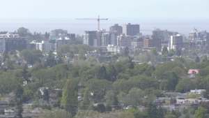 Downtown Victoria is pictured on Jan. 12, 2022. (CTV News)