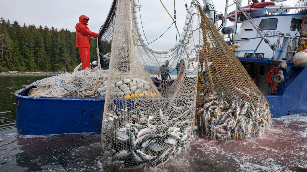 Southeast alaskan fisheries