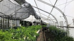 The greenhouse, like this one, will be built by Sprung Structures. (Supplied)