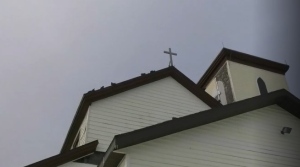 Concern growing for birds trapped in old church