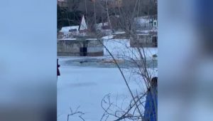 Neighbours used a kayak to rescue the driver of a vehicle that crashed through the ice of the Rideau River. 