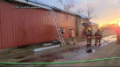 Fire crews put out hot spots in a Norfolk County barn. (Jan. 16, 2022)
