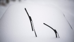 Raised windshield wiper blades are seen above a blanket of snow covering a car in Ottawa, on Monday, Jan. 17, 2022. A blizzard warning is in effect for the region with Environment Canada predicting between 25 to 40 cm of snow. (Justin Tang/THE CANADIAN PRESS)