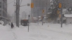 Snowstorm hits southwestern Ontario