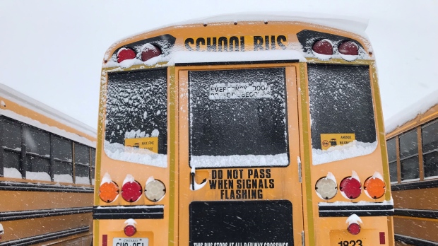 School bus FILE IMAGE (Rob Cooper/CTV News)