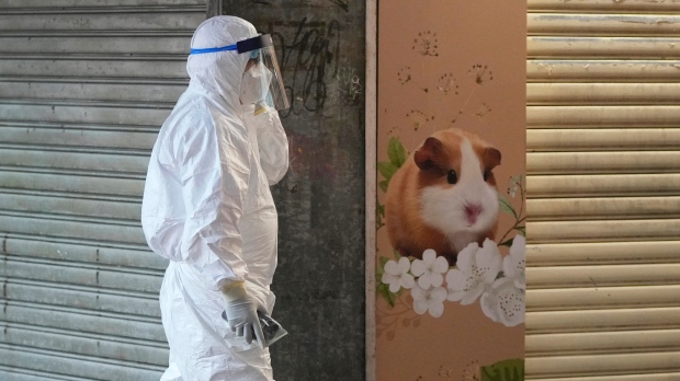 Coronavirus: Hong Kong memusnahkan hamster, hewan lain
