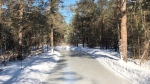 The Simcoe County skate trail winds through one kilometre of the forest. (Supplied)