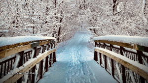 A snowy walk in Ottawa, Ontario, near South Keys. (Goretti Pernitzky/CTV Viewer)