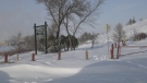 Garbage Hill in Westview Park in Winnipeg, pictured on Jan. 18, 2022. (Source: Ken Gabel/ CTV News Winnipeg)