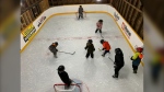 Dave Rawlings built a miniature hockey rink inside a sheep barn on his property in Hamiota, Man. (Source: Dave Rawlings)