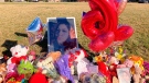 A makeshift memorial next to a large grassy area where Diamond Alvarez was shot in Houston, on Jan 13, 2022. (Juan Lozano / AP)
