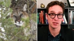 Dan Riskin on predators and climate change