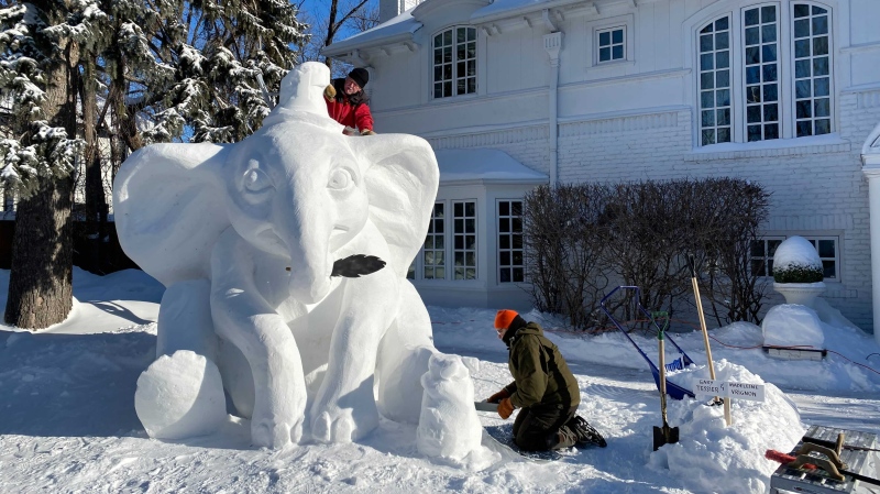 Snow carvers Madeleine Vrignon and Gary Tessier put the final touches on a Dumbo snow scuplture on a Winnipeg lawn (Zachery Kitchen, CTV News)