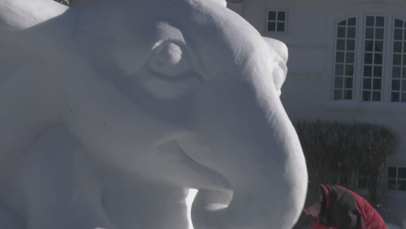 Sculptors create giant snow carvings in Old Tuxedo
