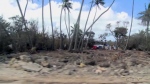 Tonga streets covered in ash after eruption