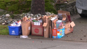 A massive backlog of recycling and garbage pickup is happening in the Capital Regional District. This is a result of a few factors, including staffing shortages due to COVID-19, equipment failures and bad weather. (CTV)