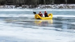 Calgary Fire Department's Aquatics Squad tries to rescue Penny, a black lab that ran onto the ice covering the Bow River Thursday. Penny eventually made it to shore on her own.