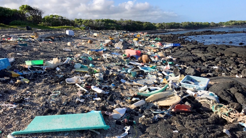 This August, 2018 photo provided by the Hawaii Wildlife Fund shows the beach at Kamilo Point in Naalehu, Hawaii, before a cleanup event. (Megan Lamson, Hawaii Wildlife Fund via AP) 
