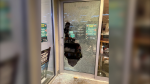 Grounded Kitchen, Coffee & Bar on Gloucester Street says it has been targeted in break and enters four times over the past four weeks. (Photo courtesy: Facebook/Grounded Kitchen, Coffee & Bar)