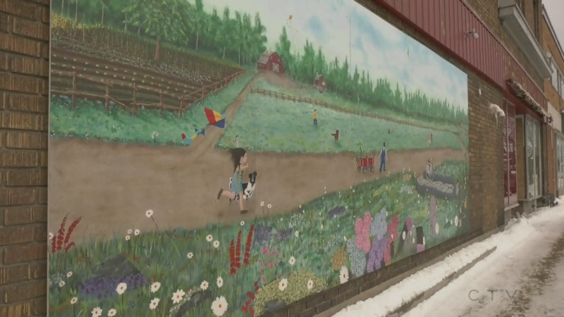 Number of Sturgeon Falls murals continues to grow
