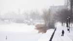 A person walks a dog along the Lachine Canal in Montreal, Friday, Jan. 21, 2022. Environment Canada has issued an extreme cold warning for the region. THE CANADIAN PRESS/Graham Hughes 