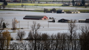 A partially submerged truck is seen on a road surrounded by flooded farms and agricultural land in Abbotsford, B.C., on Tuesday, November 16, 2021. (THE CANADIAN PRESS/Darryl Dyck) 