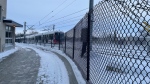 An Ottawa LRT car departs uOttawa station on Sunday, Jan. 23. (Josh Pringle/CTV News Ottawa)