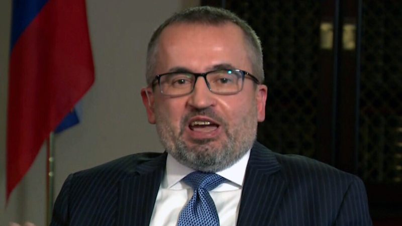 Russian Ambassador to Canada Oleg Stepanov. (CTV News)