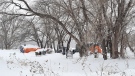 Encampment off Higgins Avenue seen on Jan. 23 (Dan Timmerman, CTV News)