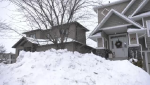 Some Winnipeg residents are concerned over damage to trees due to snow-clearing efforts