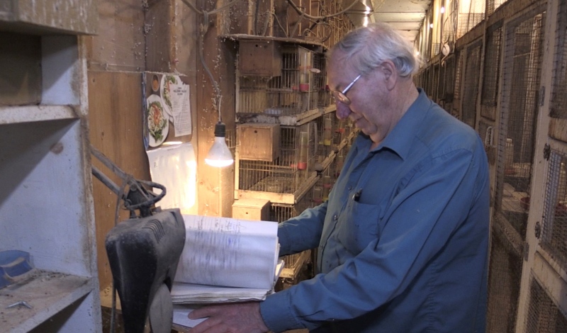 Pete Van Erp reviews a ledger showing the inventory at his aviary, Jan. 24, 2022. (Gerry Dewan / CTV News)
