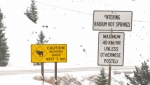 Signs outside Radium Hot Springs warn of bighorn sheep in the area. 