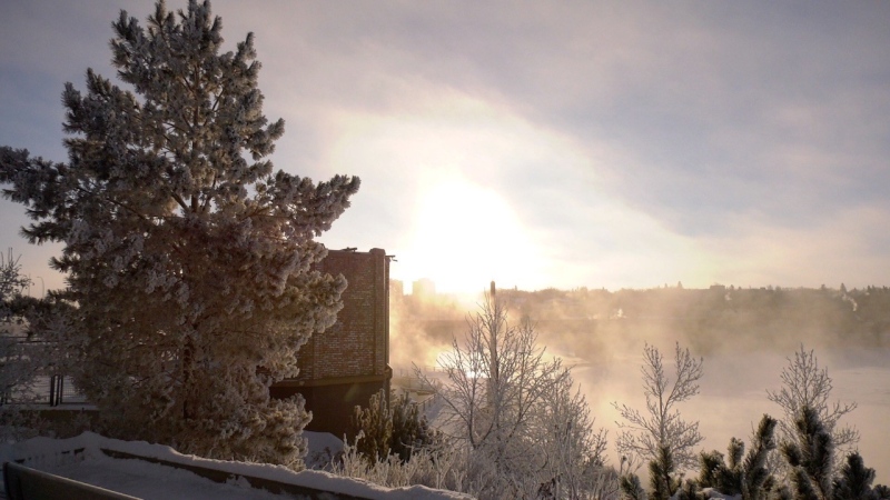 A frosty Saskatoon morning is pictured on Jan. 25, 2022. (Chad Hills/CTV Saskatoon)