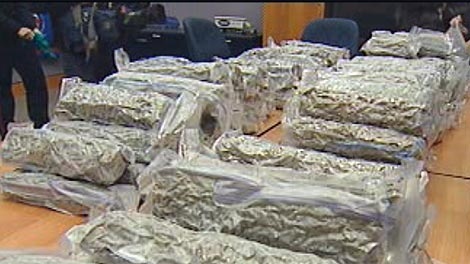 More than 100 pounds of weed was seized by police. 