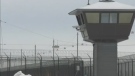 Tensions rising in Edmonton prison: lawyer