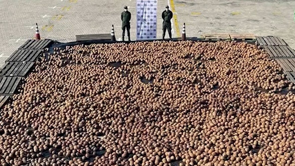 nearly 20,000 coconuts