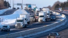 Dennis Levesque, a truck driver, shares his view on the ongoing protest